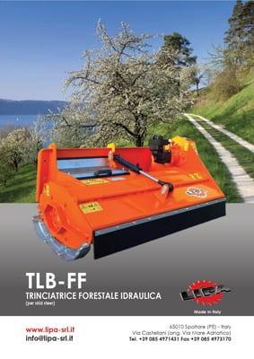 TLB-FF