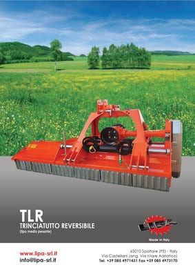 TLR