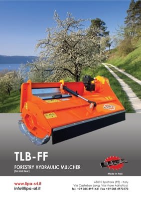 TLB-FF